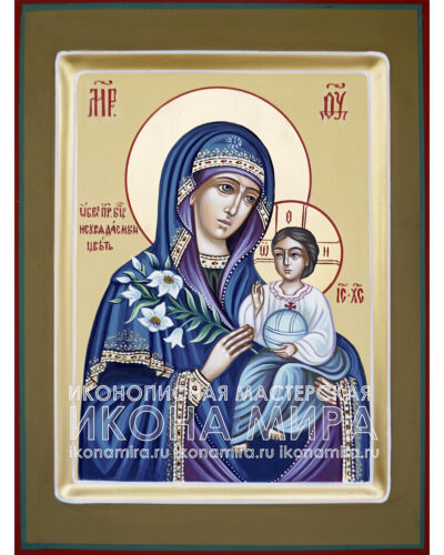 Купить рукописную икону Божией Матери Неувядаемый Цвет